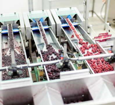 frozen red raspberries in sorting and processing machines